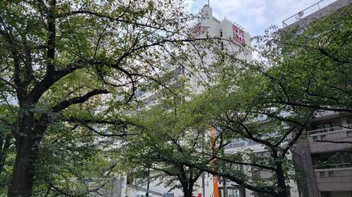 「中目黒」まだまだ駅前が変わる? 独自カルチャーを作り注目を集め続ける街の画像10