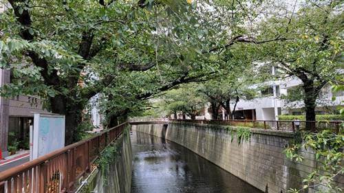 「中目黒」まだまだ駅前が変わる？　独自カルチャーを作り注目を集め続ける街の画像18