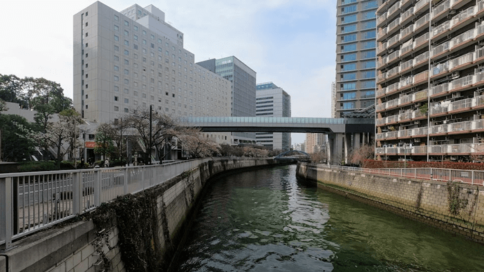 目黒川沿いの様子