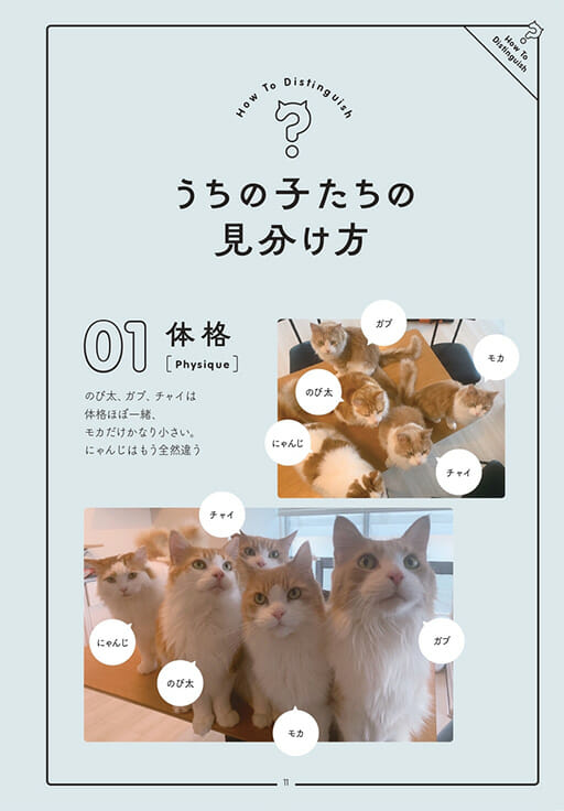 いま最も忙しい芸人かまいたち山内が自ら撮って書いて描いた愛猫写真集『ねこうちさん 猫と山内と時々犬』が7月29日に発売決定!の画像2
