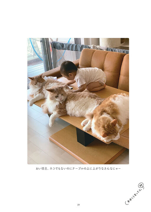 いま最も忙しい芸人かまいたち山内が自ら撮って書いて描いた愛猫写真集『ねこうちさん 猫と山内と時々犬』が7月29日に発売決定!の画像5