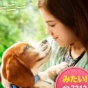 『僕のワンダフル・ジャーニー』強引なこじつけの連続で語られる犬と人の愛情物語