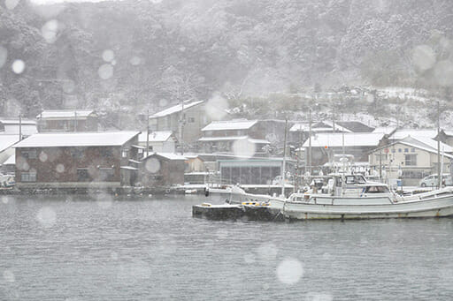 北海道でふぐの漁獲量が激増！ 漁業関係者も「わからない」の画像1