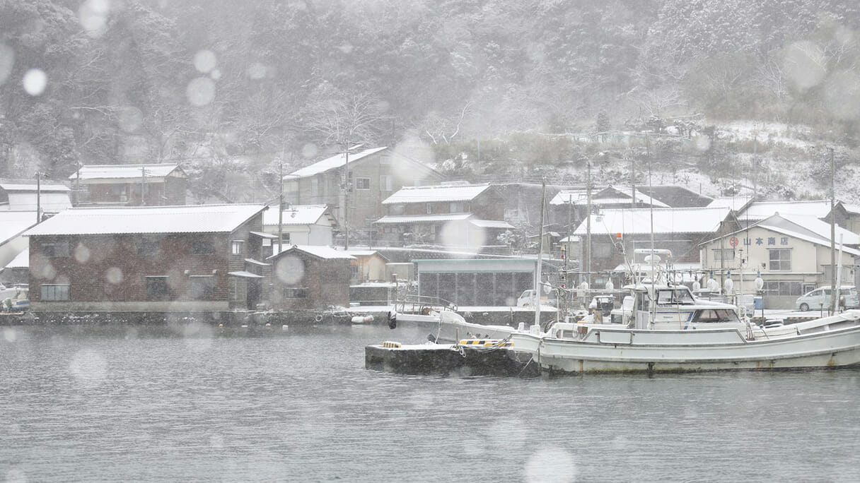 北海道でふぐの漁獲量が激増！ 漁業関係者も「わからない」