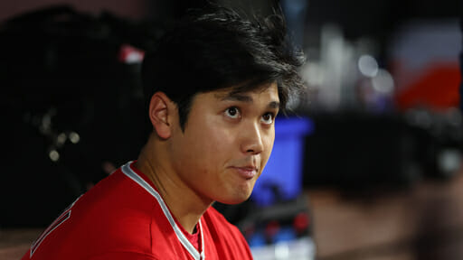 大谷翔平、WBCフィーバーはまだ終わらない!? 旅行業界の現地観戦ツアーのカラクリの画像1