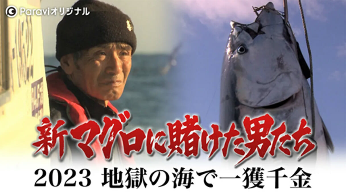 「山本さん」2度目の電撃移籍！『マグロに賭けた男たち』がParaviに移動の怪