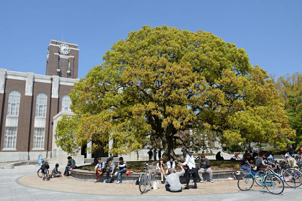 超高学歴アイドルが語る、顔面偏差値とメイク、そしてストイックな研究生活の画像6