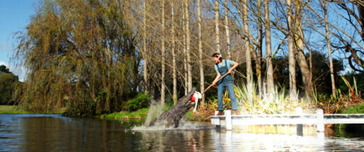 『Pearl パール』で明らかになった、前作『X エックス』のタイトルの意味の画像4