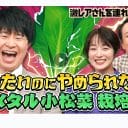 オードリー・若林正恭vsアンガールズ・田中卓志　抗争の歴史を振り返る