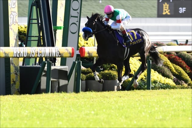 【天皇賞・春（G1）】馬券圏内100％の激走で5万馬券的中!? 四位洋文が福永祐一に授けた「金言」とは… 11番人気2着スティッフェリオにあった鉄板級の法則の画像1