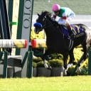 【天皇賞・春（G1）】馬券圏内100％の激走で5万馬券的中!? 四位洋文が福永祐一に授けた「金言」とは… 11番人気2着スティッフェリオにあった鉄板級の法則