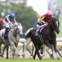 【安田記念】チームジャパン絶体絶命！ロマンチックウォリアー参戦で史上初香港馬ワンツーフィニッシュに現実味。川田将雅×セリフォスに逆転の秘策はあるのか？